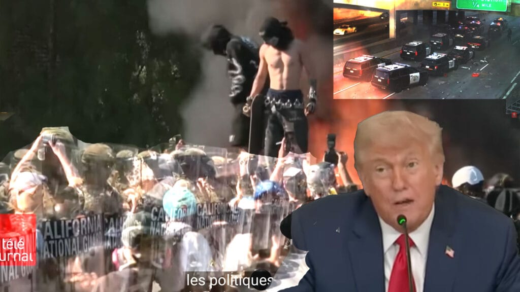 zef zef